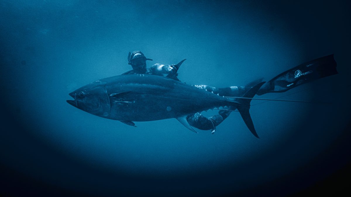 Dive Deep